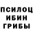 Псилоцибиновые грибы мухоморы yash king